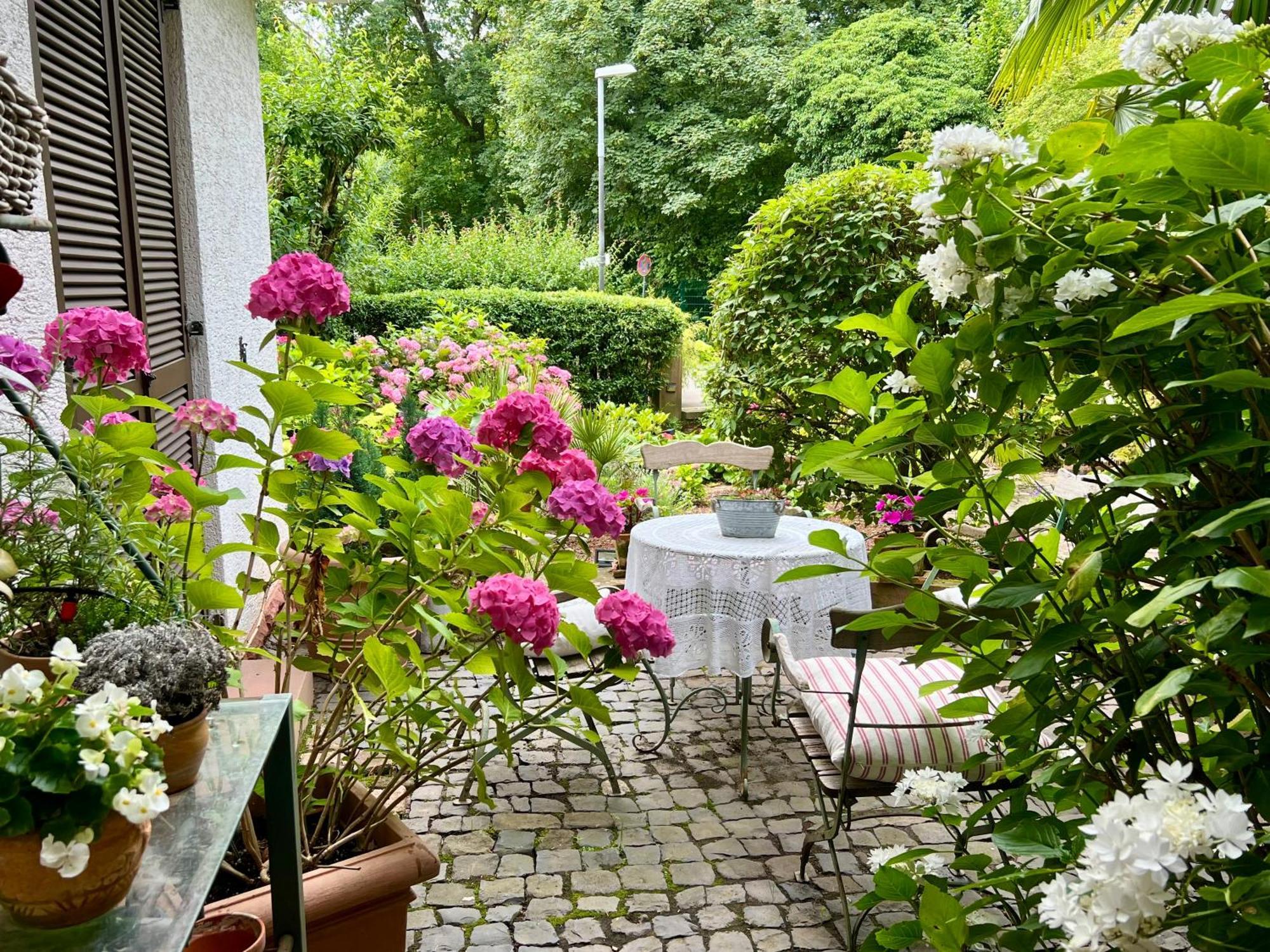 Einliegerwohnung In Einer Muehle Vor Den Toren Frankfurts, Ideal Fuer Messegaeste Oder Stop Over Dreieich Zewnętrze zdjęcie