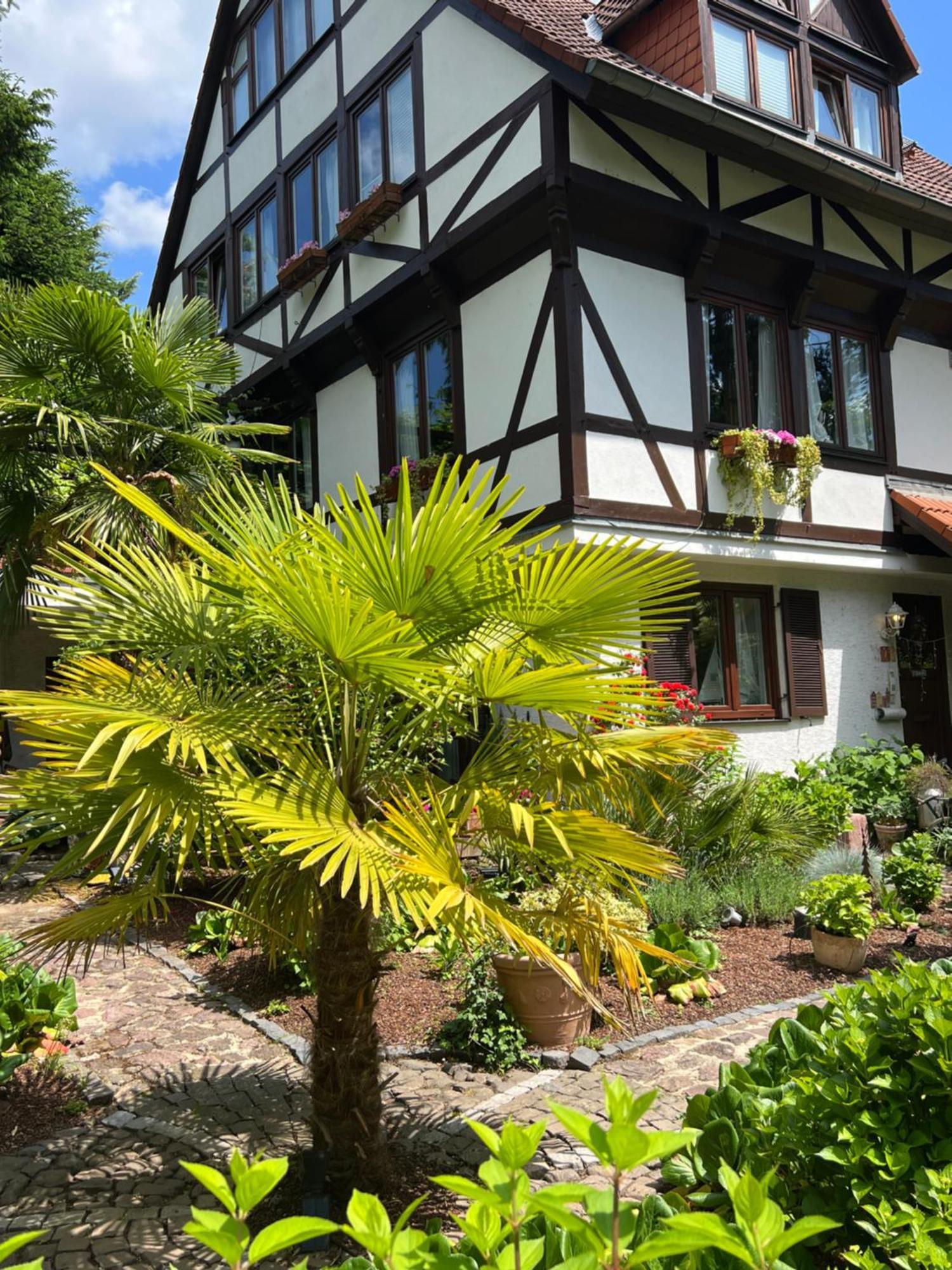 Einliegerwohnung In Einer Muehle Vor Den Toren Frankfurts, Ideal Fuer Messegaeste Oder Stop Over Dreieich Zewnętrze zdjęcie